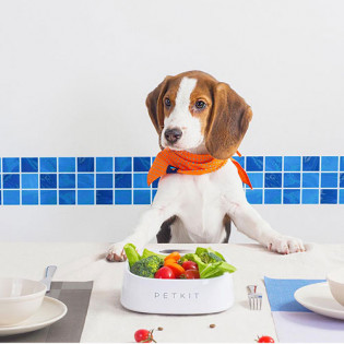 Petkit P510 Fresh Pet Bowl White